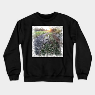 Park Bench at Sunset Crewneck Sweatshirt